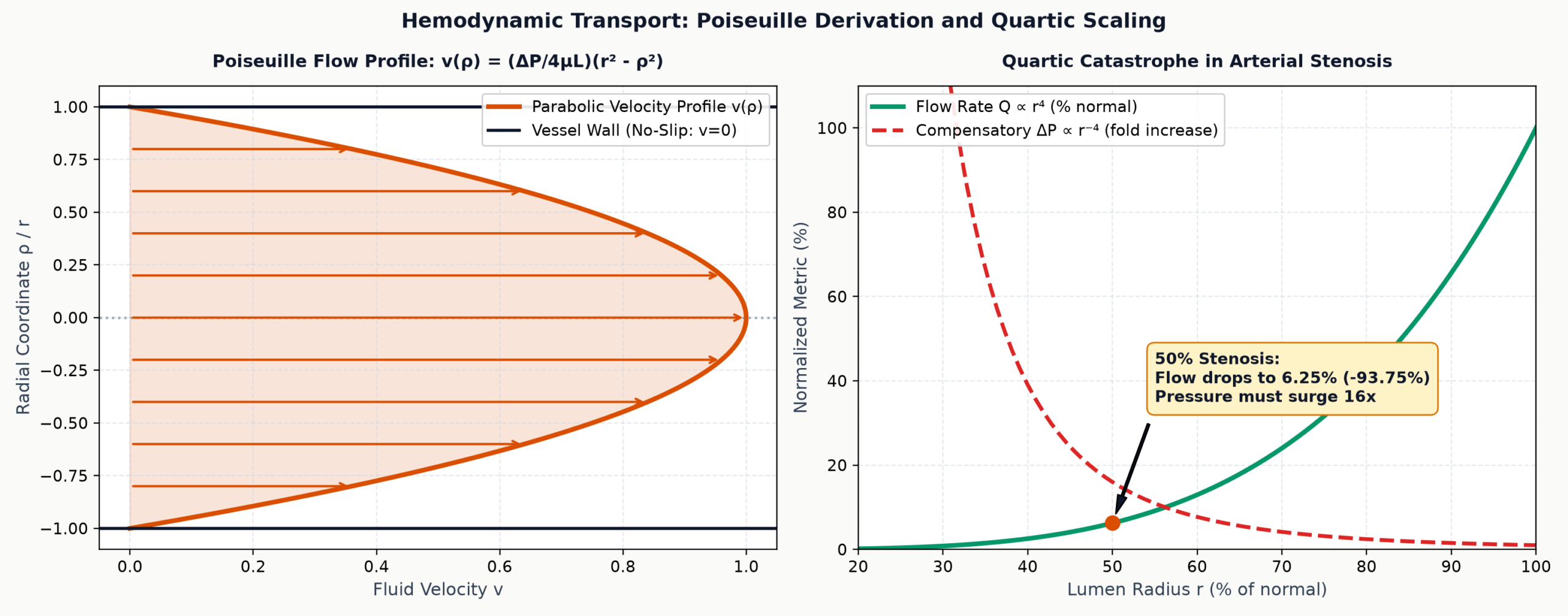 Poiseuille Flow Parabolic Profile and Quartic Stenosis Sensitivity