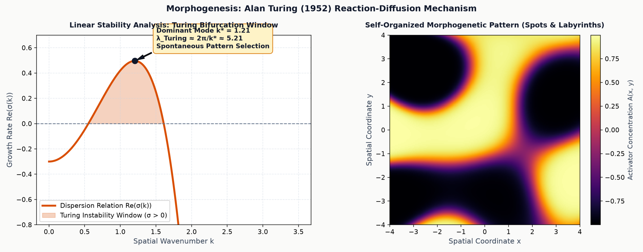 Turing Reaction-Diffusion Morphogenesis and Linear Stability Dispersion